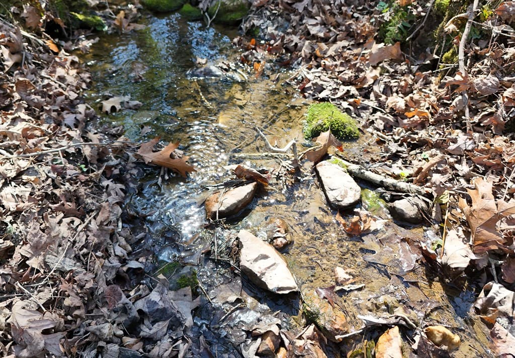 678 Reserve Road, Blairsville GA 30512 - Photo