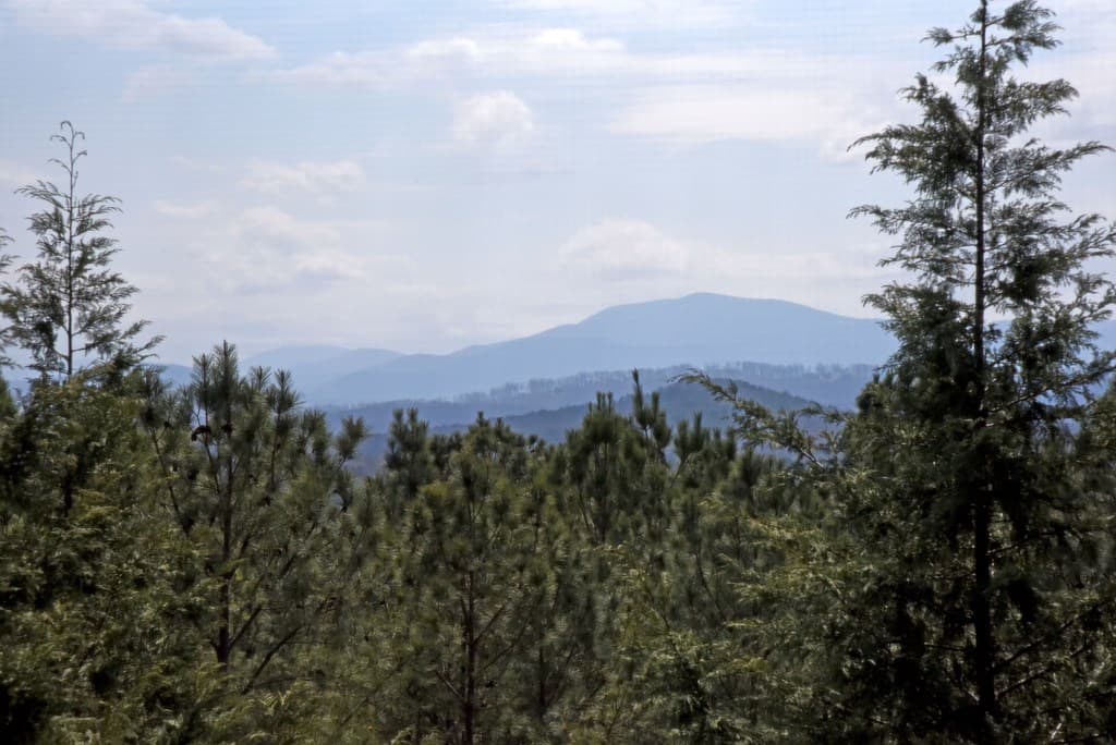 135 W Longview Drive, Blairsville GA 30512 - Photo
