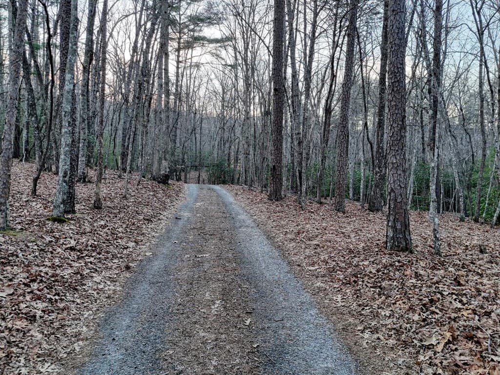 633 Timber Ridge Road, Blairsville GA 30512 - Photo