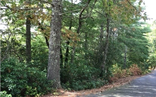 lot 18 Shelton Springs Drive, Hayesville NC 28904 - Photo