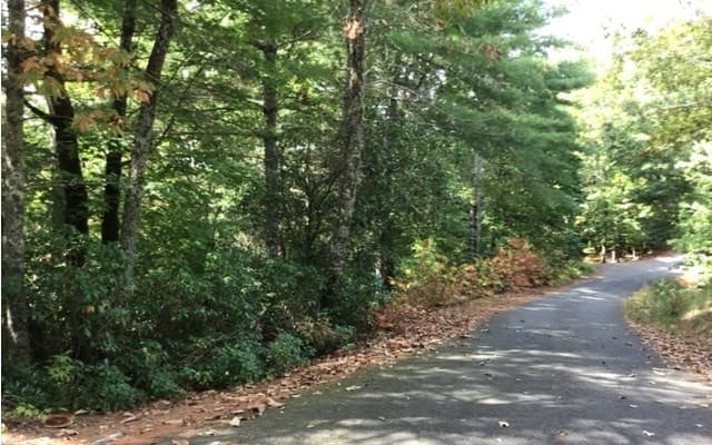 lot 18 Shelton Springs Drive, Hayesville NC 28904 - Photo