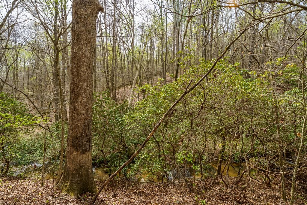 3467 Carver Mill Road, Talking Rock GA 30175 - Photo