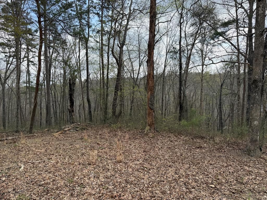 3467 Carver Mill Road, Talking Rock GA 30175 - Photo