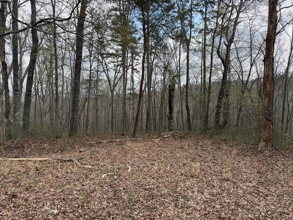 3467 Carver Mill Road, Talking Rock GA 30175 - Photo