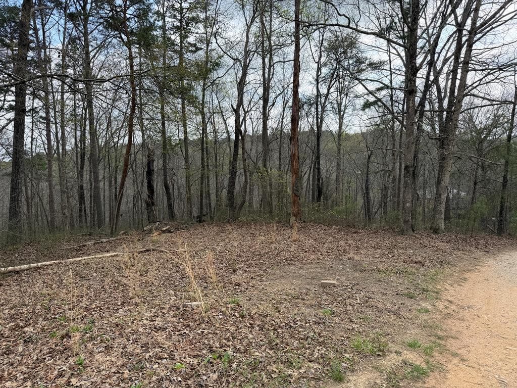 3467 Carver Mill Road, Talking Rock GA 30175 - Photo
