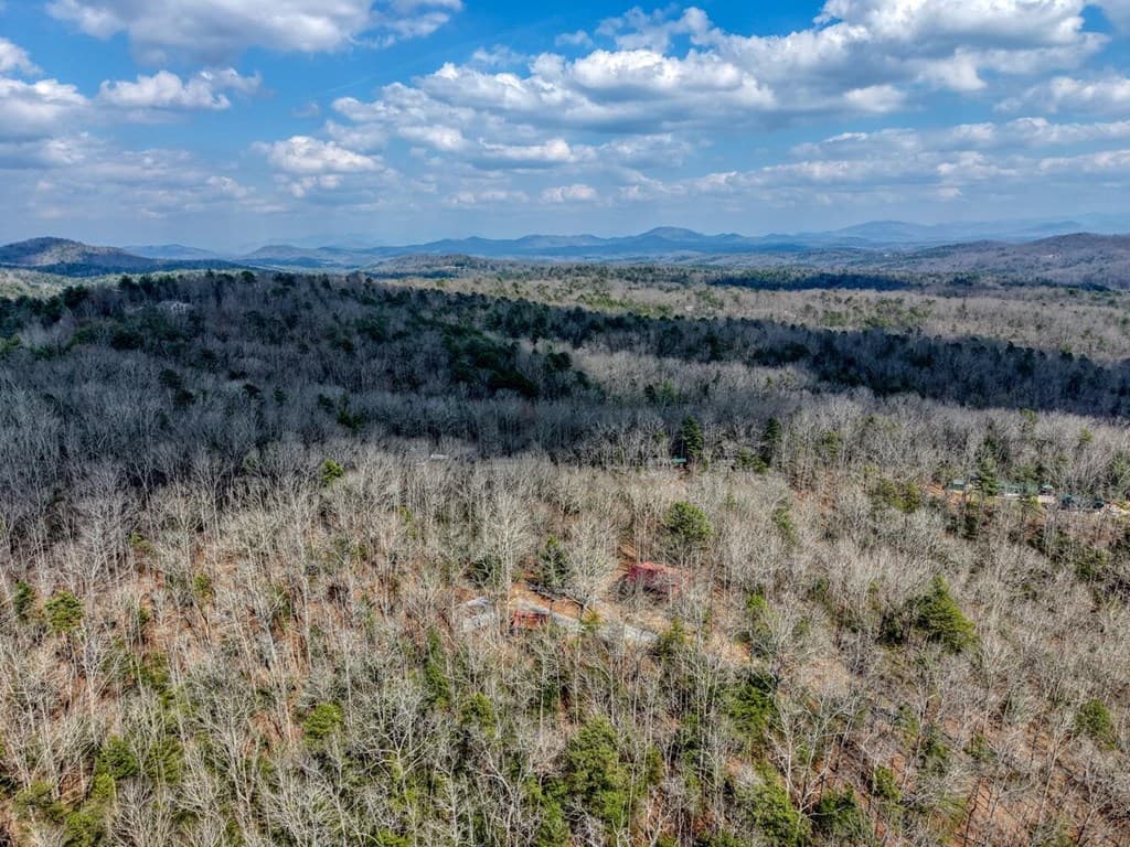 450 Mull Valley Road, Morganton GA 30560 - Photo