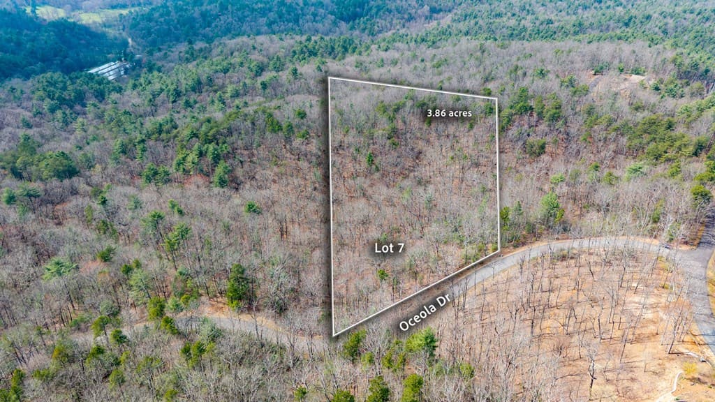 Lot 7 Oceola Drive, Ellijay GA 30540 - Photo