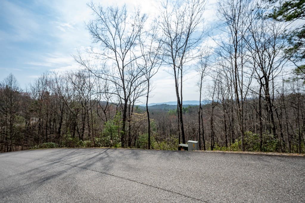Lot 7 Oceola Drive, Ellijay GA 30540 - Photo
