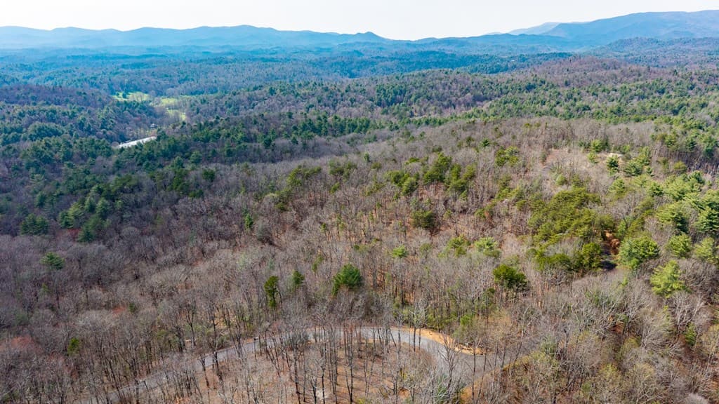 Lot 8 Oceola Drive, Ellijay GA 30540 - Photo