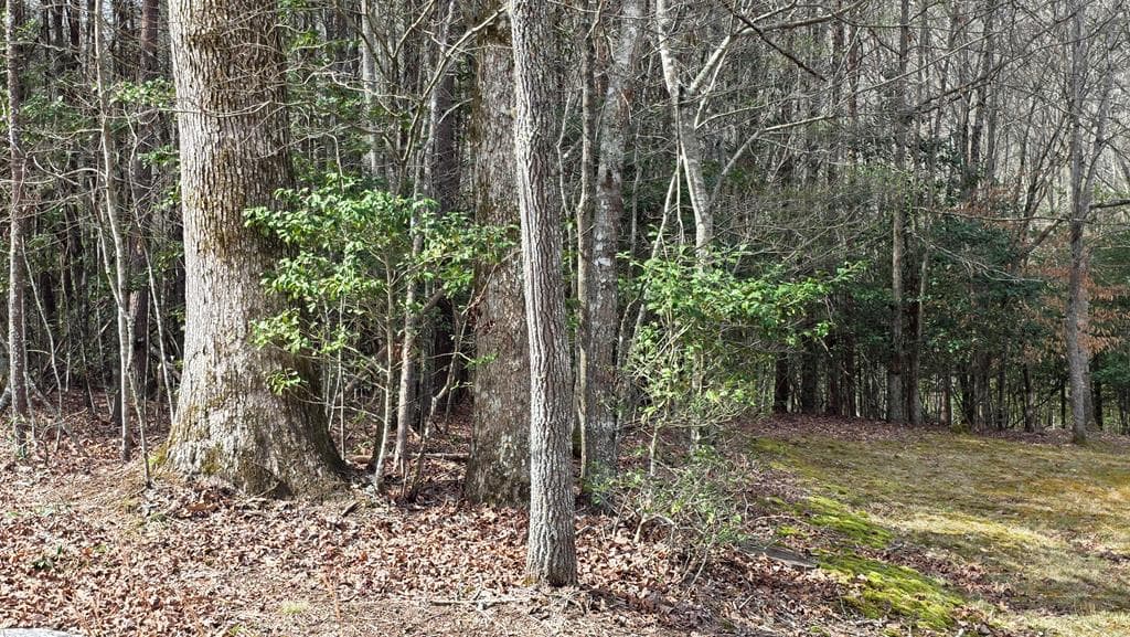 Lot 25 Pine Log Circle, Warne NC 28909 - Photo