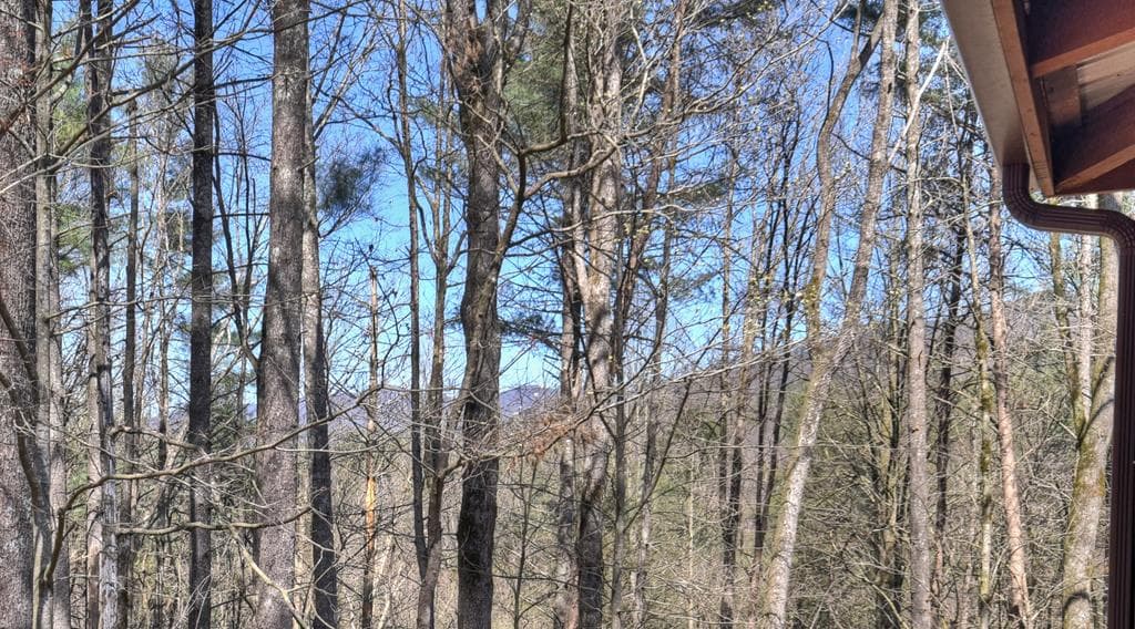 396 Dover Falls Trail, Ellijay GA 30540 - Photo