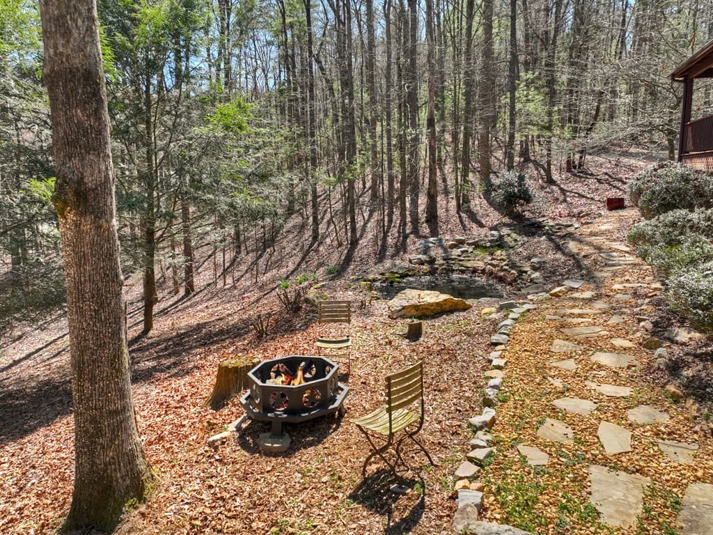 396 Dover Falls Trail, Ellijay GA 30540 - Photo