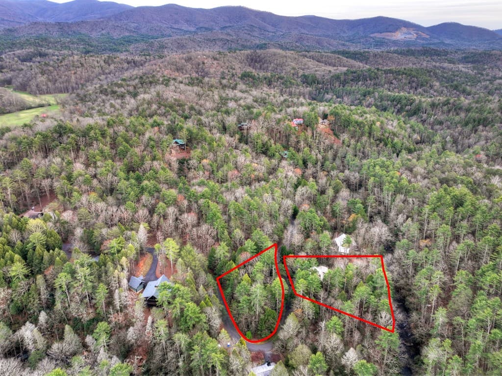266 River Road, Cherry Log GA 30522 - Photo