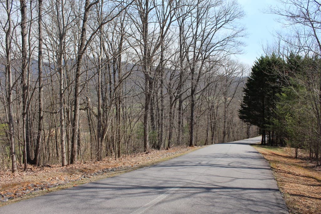 Lot 83A Licklog Ridge, Hayesville NC 28904 - Photo