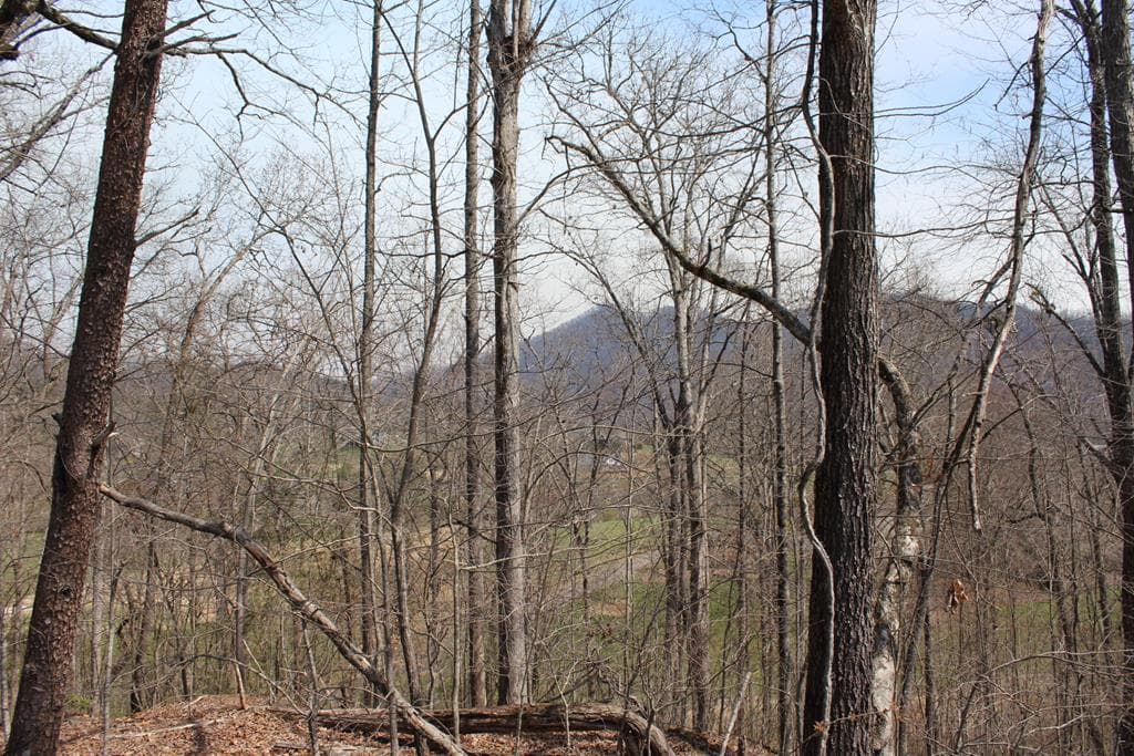 Lot 83A Licklog Ridge, Hayesville NC 28904 - Primary photo