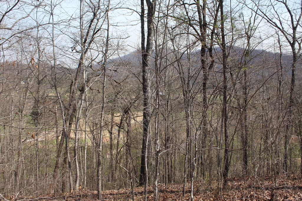 Lot 83A Licklog Ridge, Hayesville NC 28904 - Photo