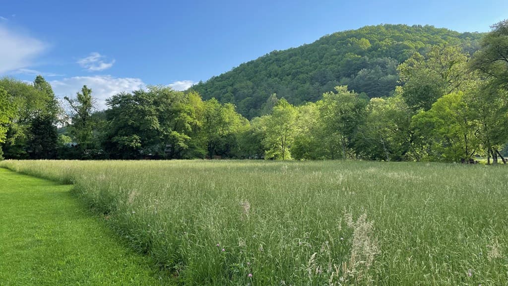 3556 River Front Lane, Hiawassee GA 30546 - Photo