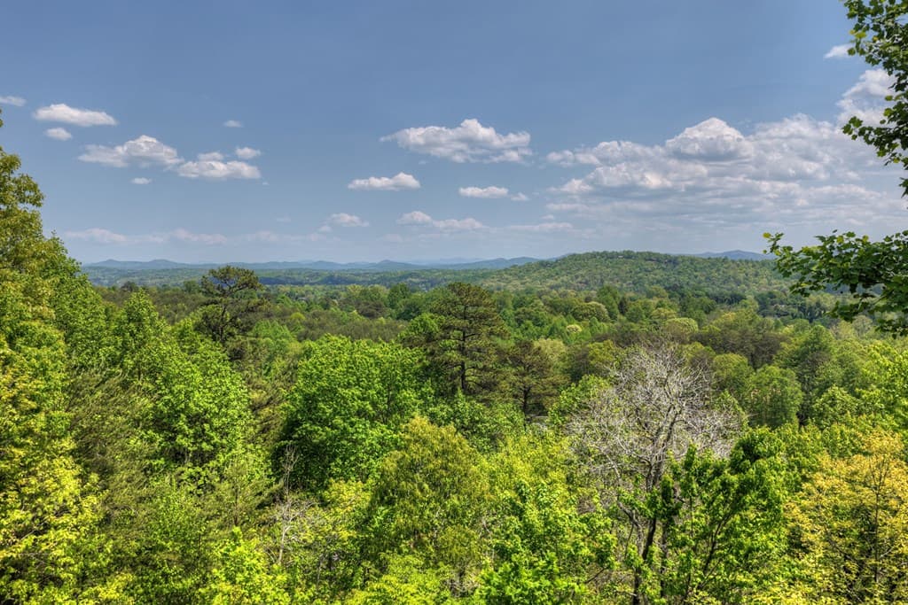 222 Mountain Hideaway Lane, Blue Ridge GA 30513 - Photo