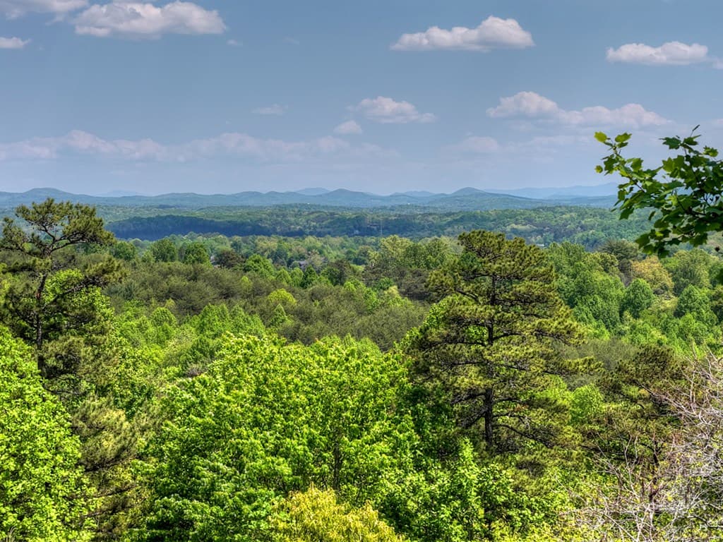 222 Mountain Hideaway Lane, Blue Ridge GA 30513 - Photo