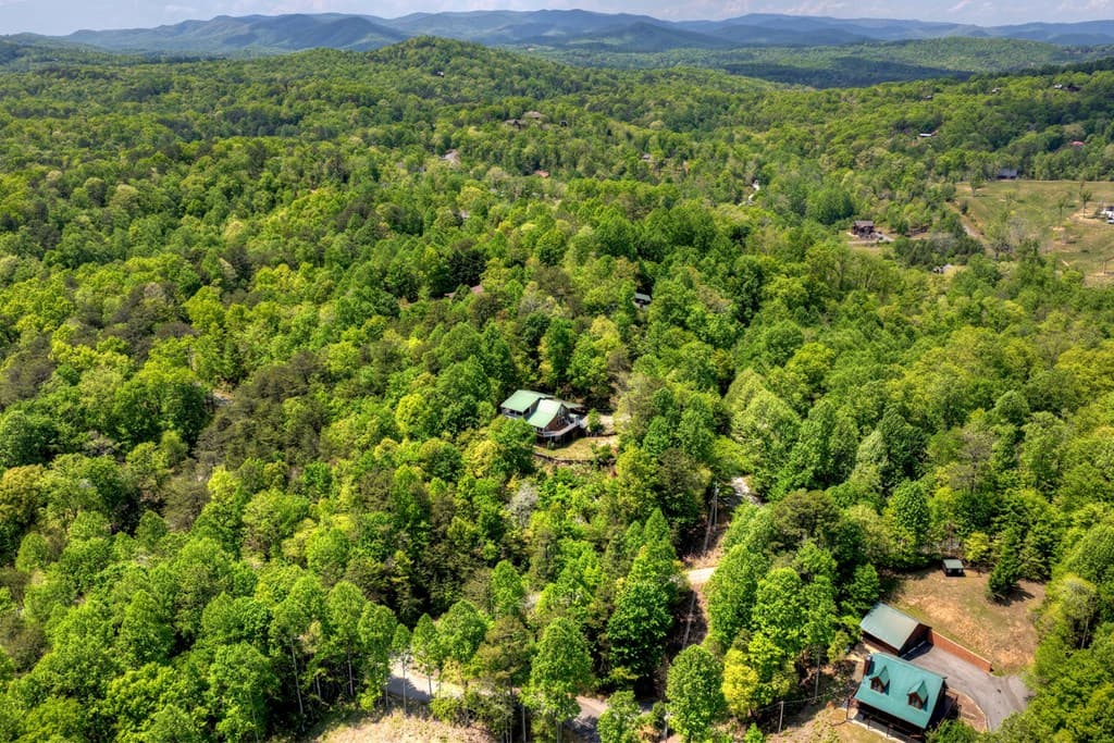 222 Mountain Hideaway Lane, Blue Ridge GA 30513 - Photo