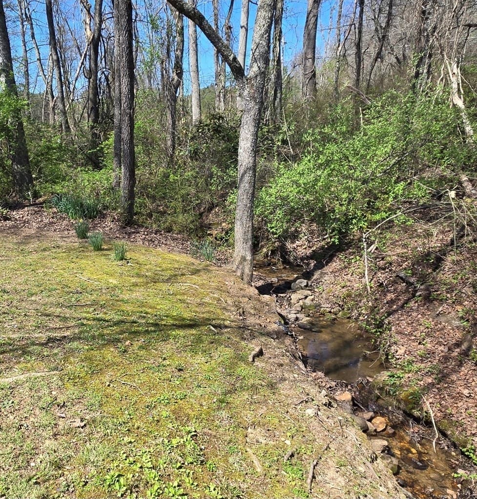 129 Moccasin Lane, Blairsville GA 30512 - Photo