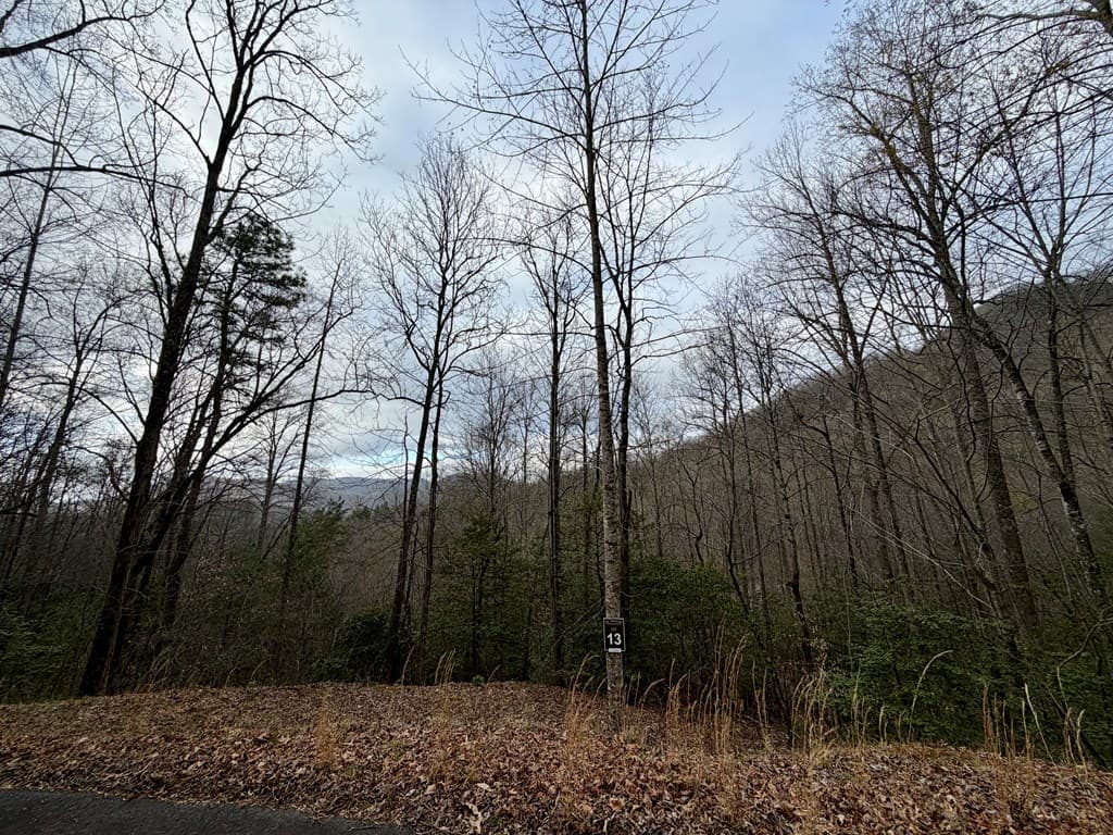Lot 13 The Highlands, Hiawassee GA 30546 - Photo