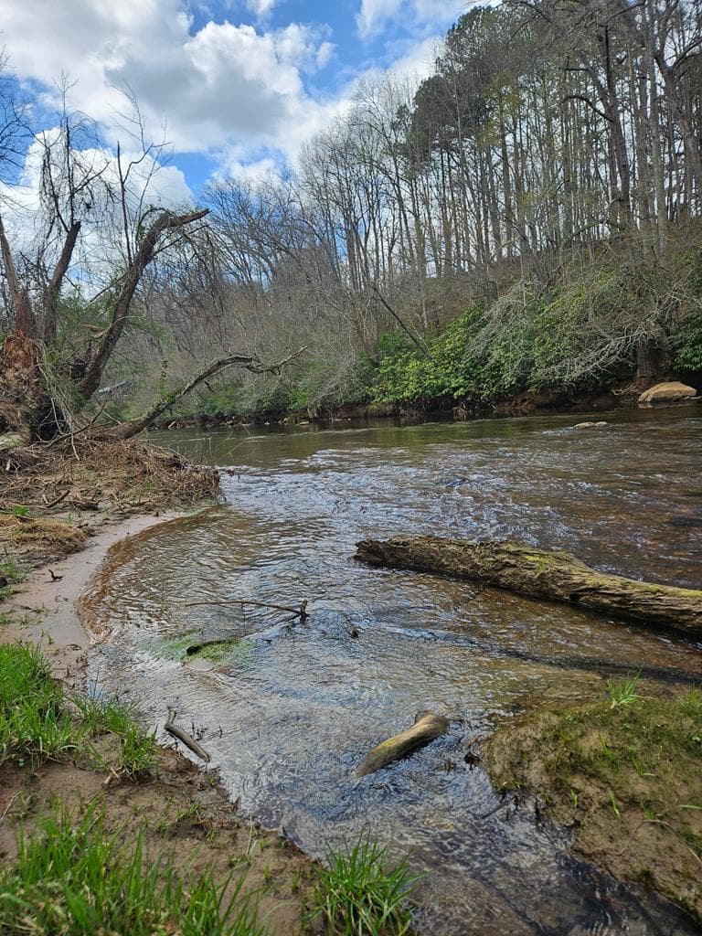 0 Mcglamery Farm Drive, Hayesville NC 28904 - Photo