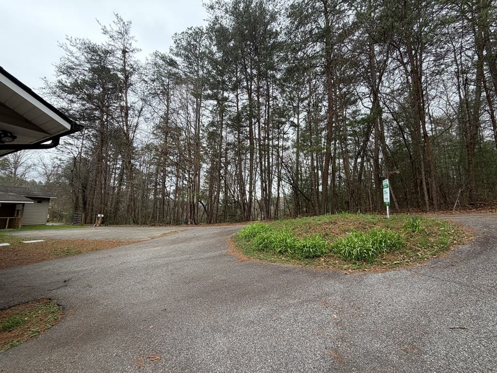 365 Ruby Lane, Mineral Bluff GA 30559 - Photo