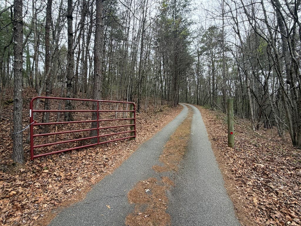 365 Ruby Lane, Mineral Bluff GA 30559 - Photo