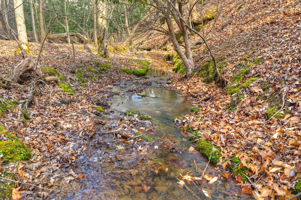 LT 13 Rocky Ridge, Mineral Bluff GA 30559 - Photo
