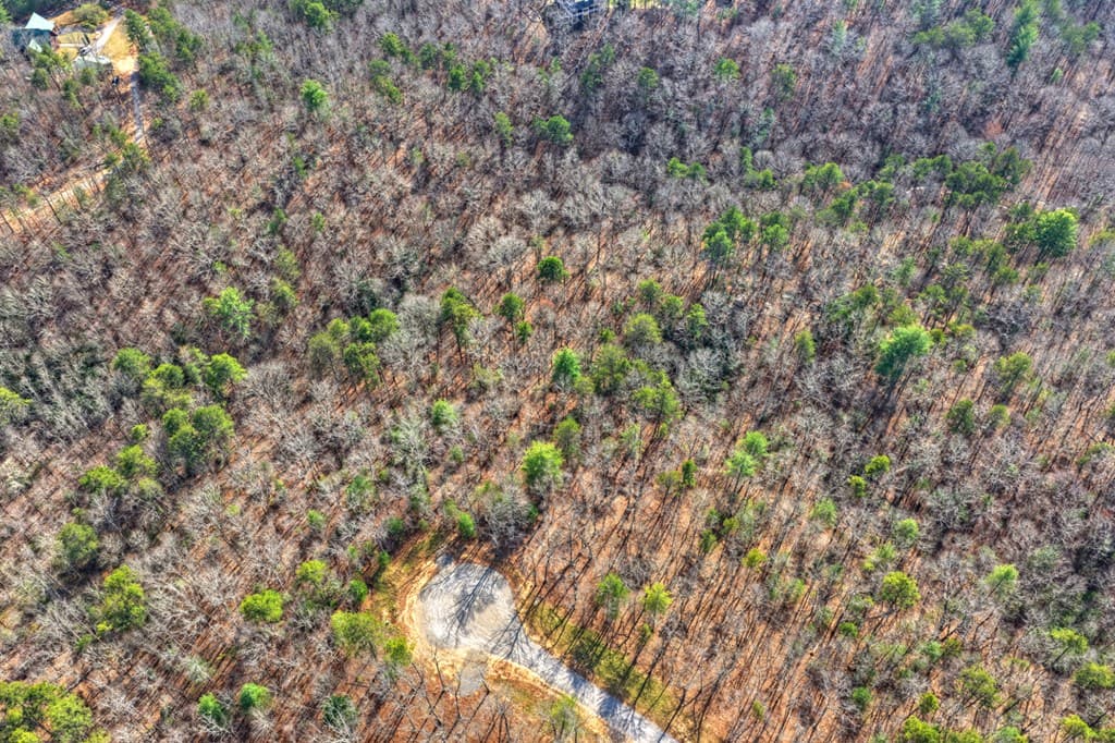 LT 13 Rocky Ridge, Mineral Bluff GA 30559 - Photo