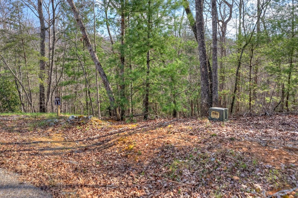 LT 13 Rocky Ridge, Mineral Bluff GA 30559 - Photo