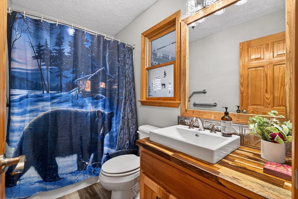 750 S Lemmon Lane, Ellijay GA 30540 - Photo