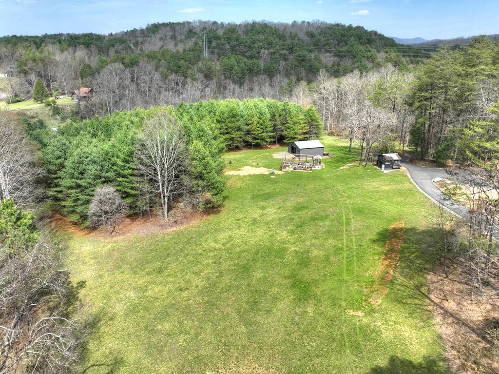 82 Indian Trace, Mineral Bluff GA 30559 - Photo