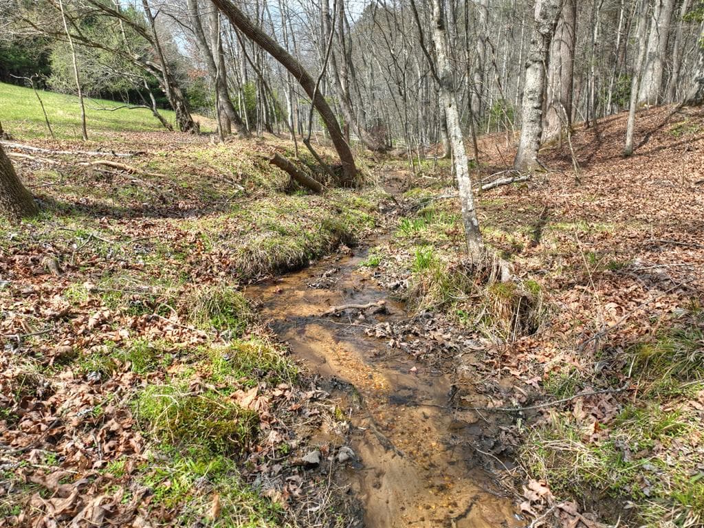 82 Indian Trace, Mineral Bluff GA 30559 - Photo