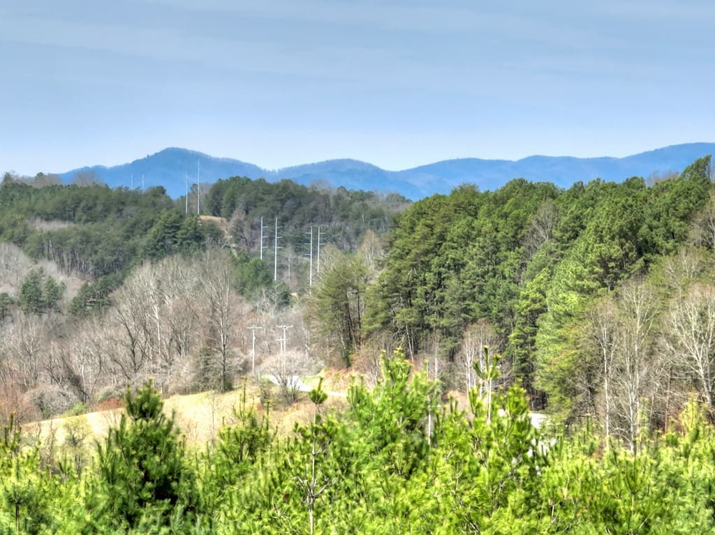 82 Indian Trace, Mineral Bluff GA 30559 - Photo