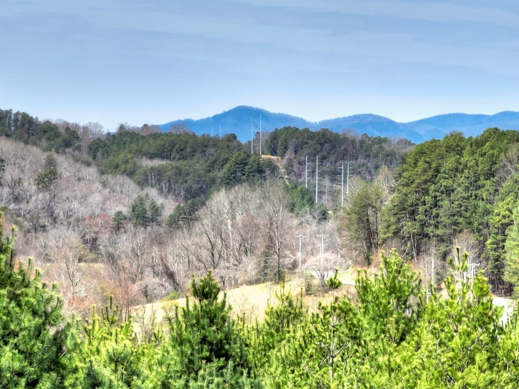 82 Indian Trace, Mineral Bluff GA 30559 - Photo