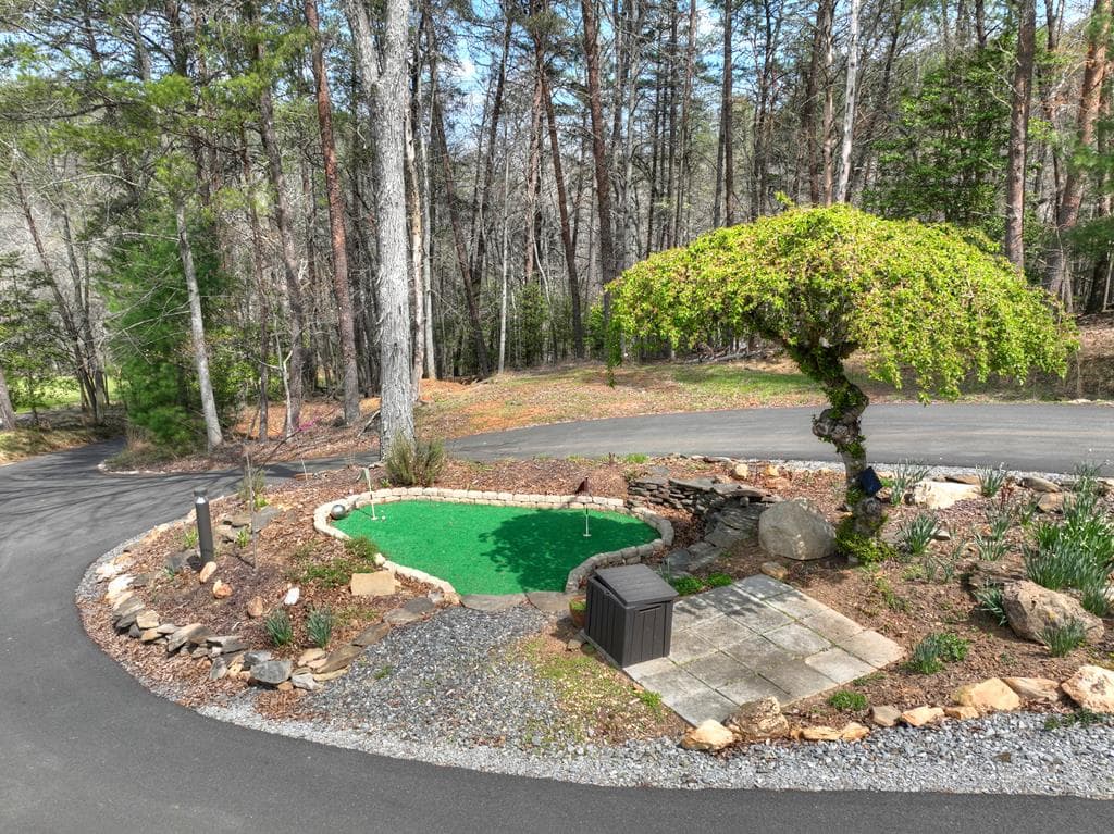 82 Indian Trace, Mineral Bluff GA 30559 - Photo