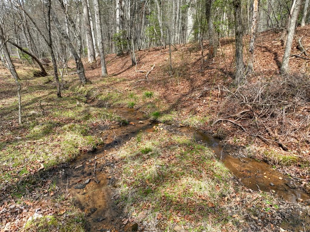 82 Indian Trace, Mineral Bluff GA 30559 - Photo