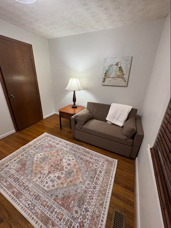 222 Sugar Creek Road, Blue Ridge GA 30513 - Photo