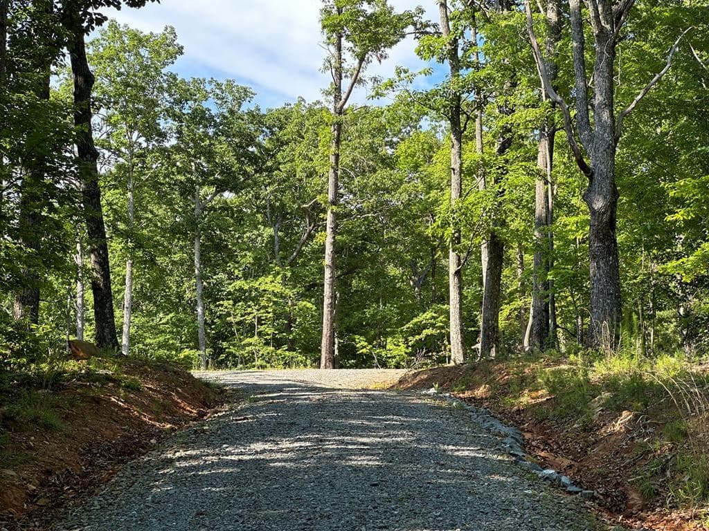 673 Willard Mountain Road, Blue Ridge GA 30513 - Photo