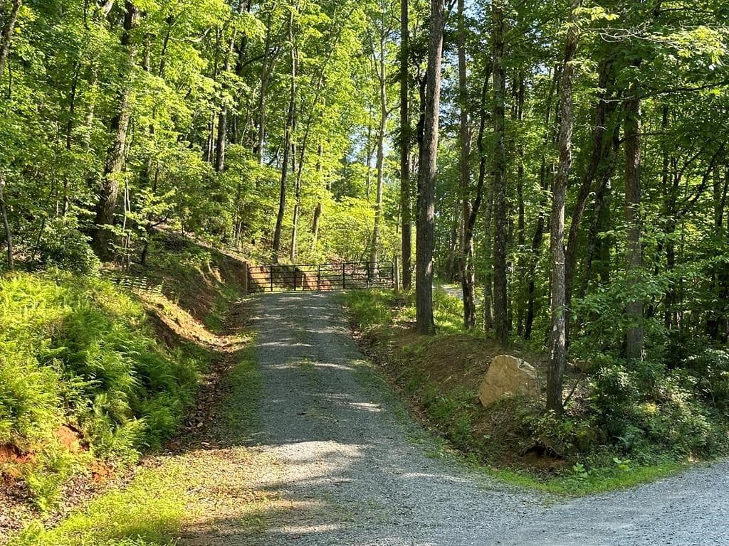 673 Willard Mountain Road, Blue Ridge GA 30513 - Photo
