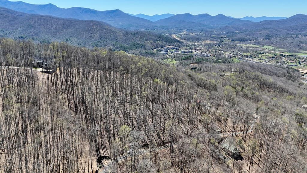 Lot 100 Timberline Acres, Young Harris GA 30582 - Photo