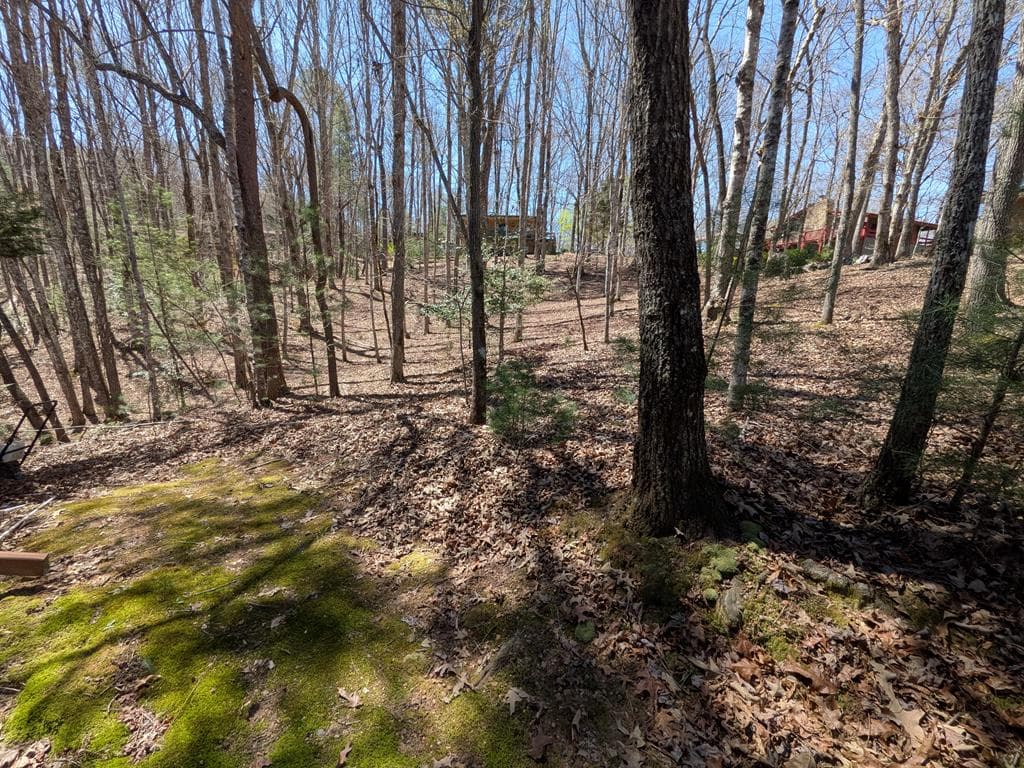 183 Ray-Mar Acres Drive, Murphy NC 28906 - Photo