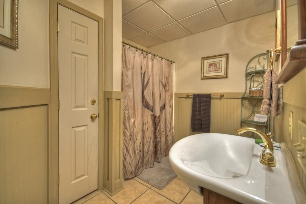 220 Lakota Lane, Mineral Bluff GA 30559 - Photo