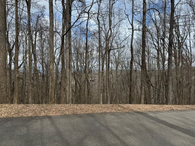 220 St Andrews Way, Jasper GA 30143 - Photo
