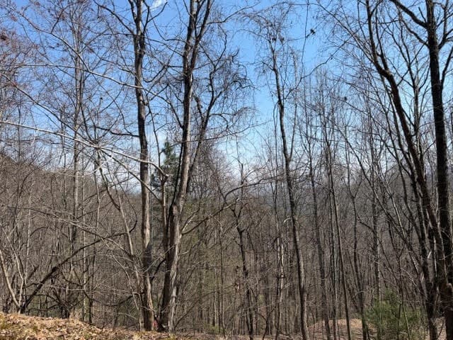 Lot 16 Laurel Mountain, Brasstown NC 28902 - Photo