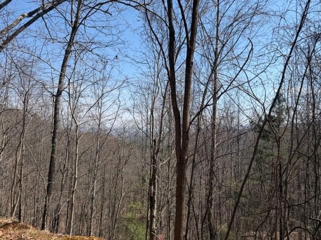 Lot 16 Laurel Mountain, Brasstown NC 28902 - Primary photo