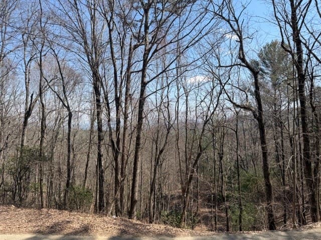 Lot 16 Laurel Mountain, Brasstown NC 28902 - Photo