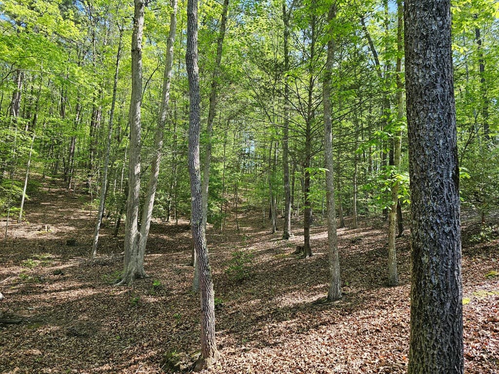 421 Sleepy Hollow Drive, Murphy NC 28906 - Photo